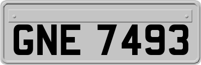 GNE7493