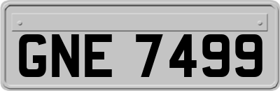 GNE7499