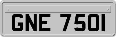 GNE7501
