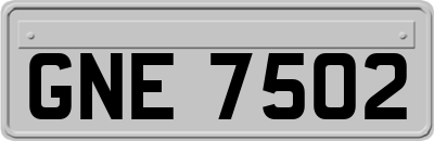 GNE7502