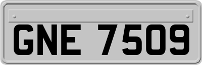 GNE7509