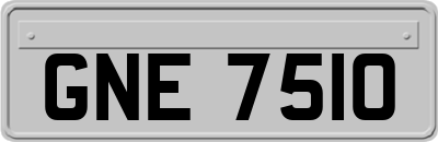 GNE7510