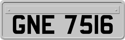 GNE7516