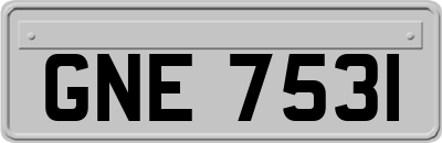 GNE7531