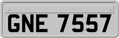 GNE7557