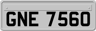 GNE7560