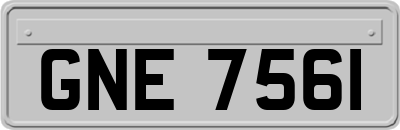 GNE7561