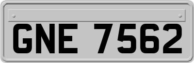 GNE7562