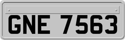 GNE7563