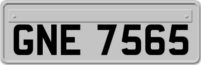 GNE7565