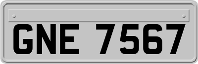 GNE7567