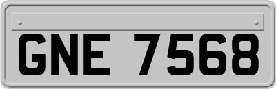 GNE7568