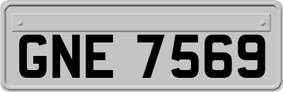 GNE7569