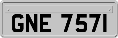 GNE7571