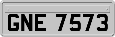 GNE7573