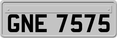 GNE7575