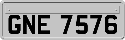 GNE7576