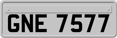 GNE7577