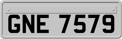 GNE7579