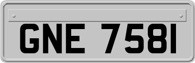GNE7581