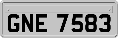 GNE7583