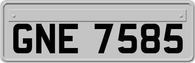 GNE7585
