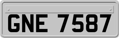GNE7587