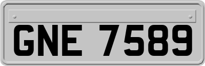 GNE7589