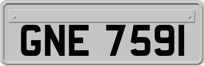 GNE7591