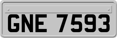 GNE7593