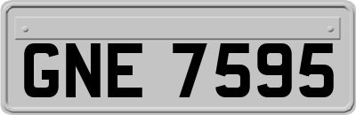 GNE7595