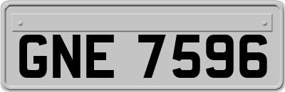 GNE7596