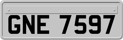 GNE7597
