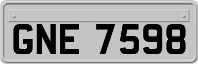 GNE7598