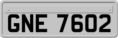 GNE7602