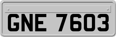 GNE7603