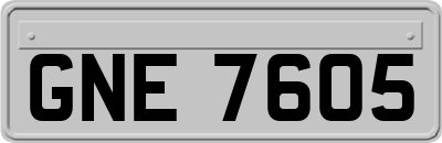 GNE7605