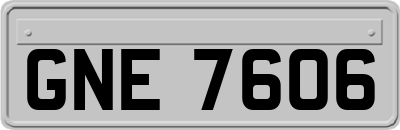 GNE7606