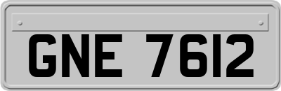 GNE7612