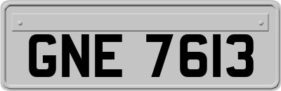 GNE7613