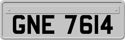 GNE7614