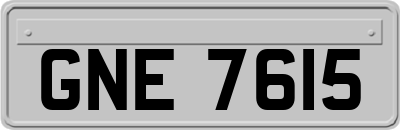 GNE7615