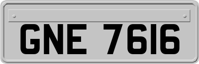 GNE7616