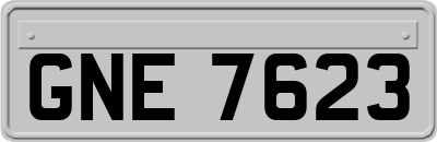 GNE7623