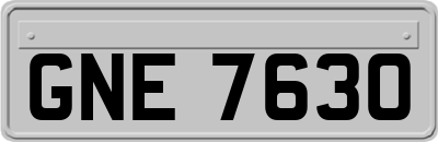 GNE7630