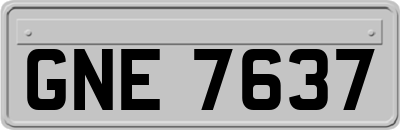 GNE7637