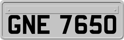 GNE7650