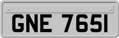 GNE7651