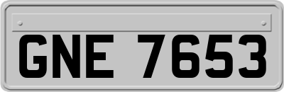 GNE7653