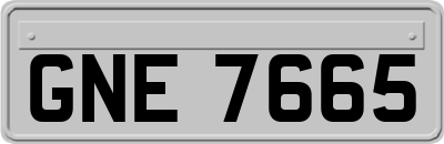GNE7665